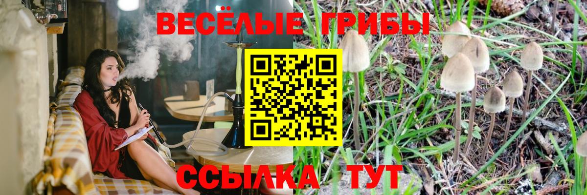 Брянск  Псилоцибиновые грибы Cubensis  как найти наркотики  Вход с VPN 