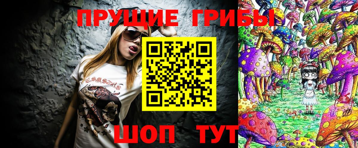 Галлюциногенные грибы Psilocybine cubensis Брянск